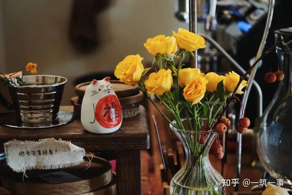 南京浦口哪有猫咖_浦口区必去的咖啡馆推荐_南京哪里咖啡馆有特色