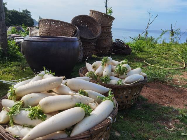 潮汕公园广场_人民公园潮汕美食_潮汕公园打人
