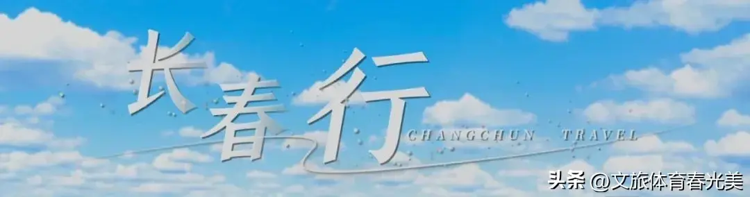 榆树钱怎么吃西餐_怎样吃榆树钱_榆树钱的吃法大全