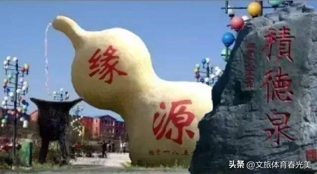 榆树钱怎么吃西餐_榆树钱的吃法大全_怎样吃榆树钱