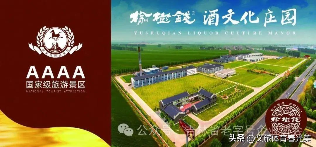 榆树钱怎么吃西餐_榆树钱的吃法大全_怎样吃榆树钱