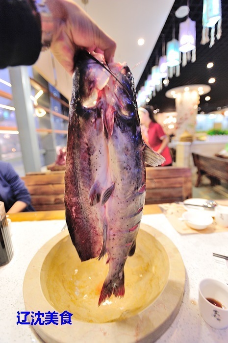 火锅沈阳美食港式店有哪些_沈阳美食火锅港式店_沈阳特色火锅店